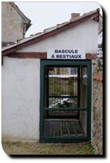 la bascule à bestiaux de Venouse