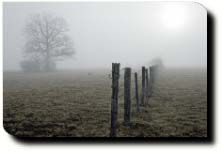 Brouillard ensoleillé sur Venouse